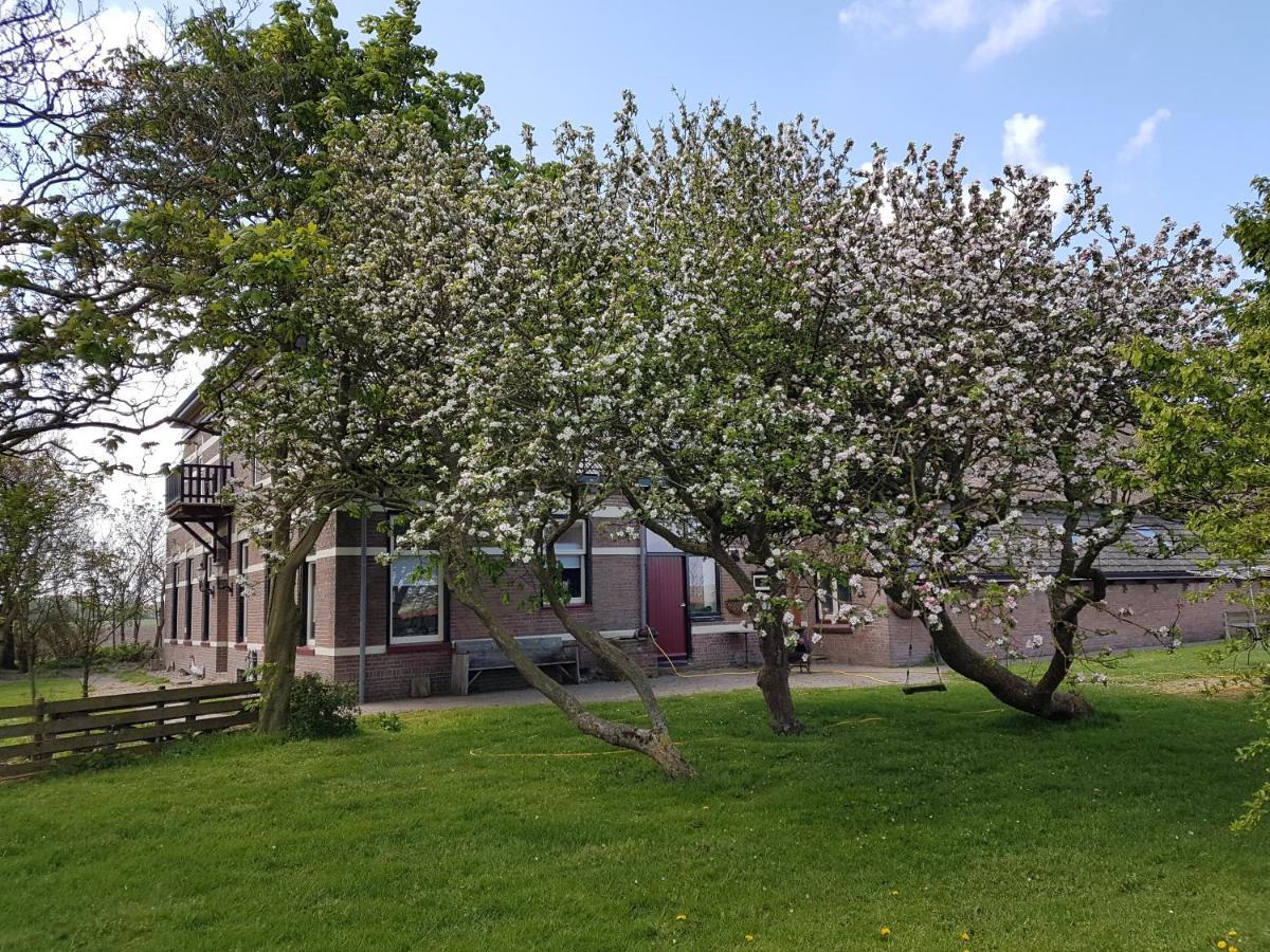 Bed and Breakfast Hunsingo Texel De Cocksdorp  Exterior foto